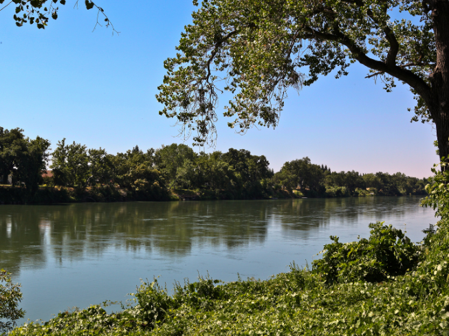 Living Near the River in Charles City? Expect More Mosquitoes