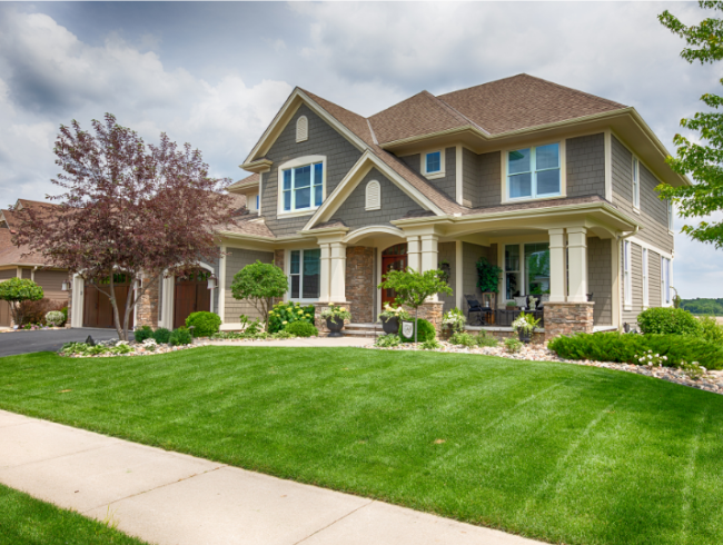 Why Newer Homes in Moseley Still Have Pest Problems