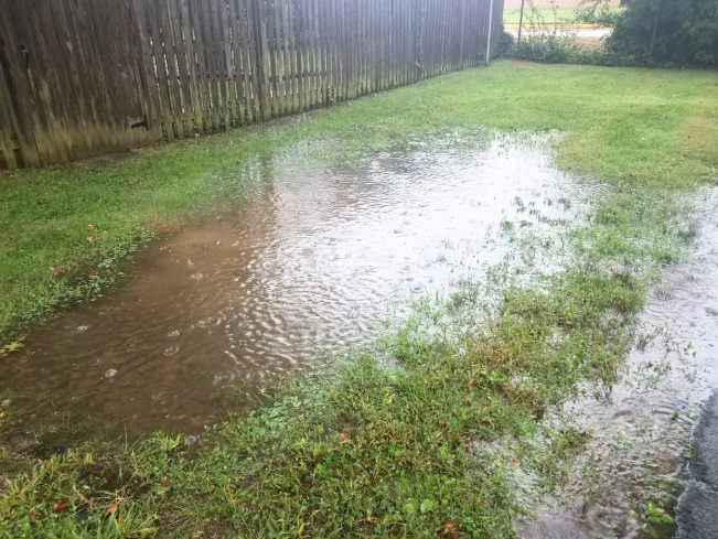How Standing Water Drives Mosquito Breeding