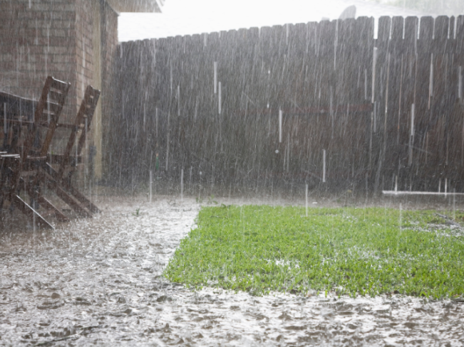 Does the Weather Really Affect Pest Activity in Madison?