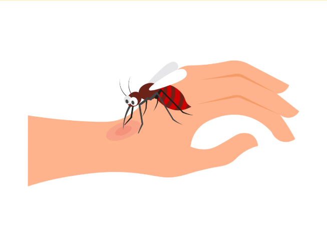 Tips for Preventing Mosquito Bites in Finland, MN