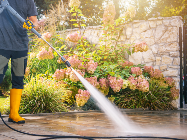 Why a Clean Yard Doesn’t Mean You’re Protected from Mosquitoes