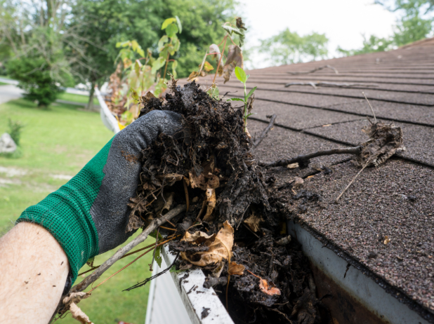 How to Prepare Your Yard in Washington, WI for Mosquito Season