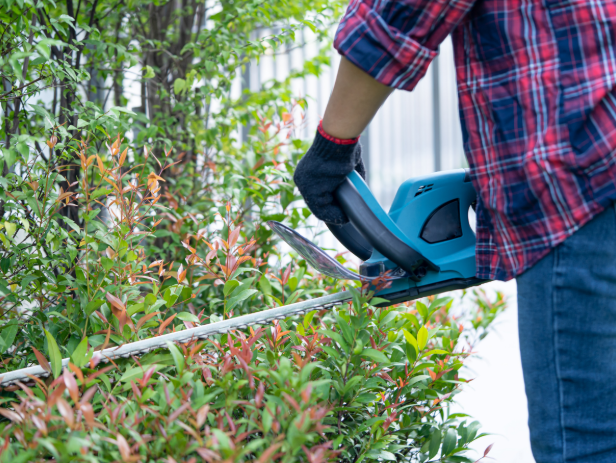 How Do I Know If My Chatham Property Will Attract Pests?