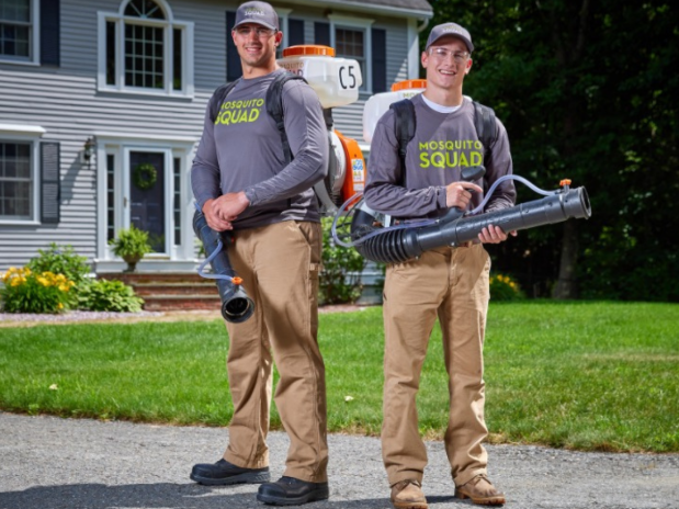 How Can I Treat Pests in Middleborough Without Harsh Chemicals?