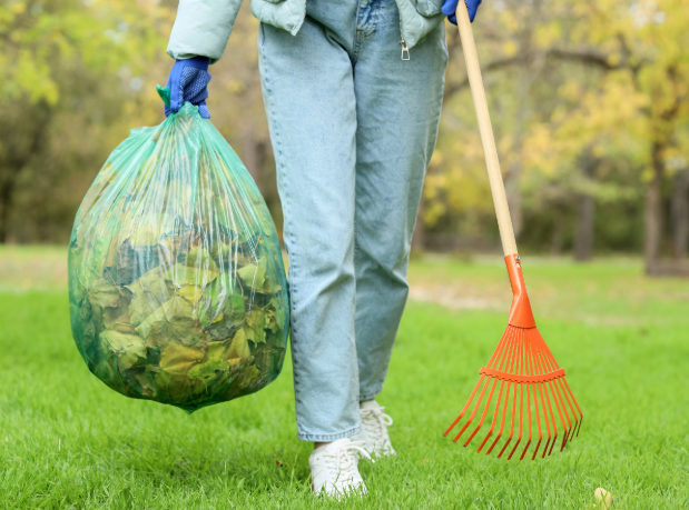 How Can I Help Protect My Roscoe Yard from Mosquitoes?