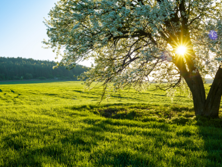 Why Spring Brings Multiple Pest Problems to Mukwonago Homes