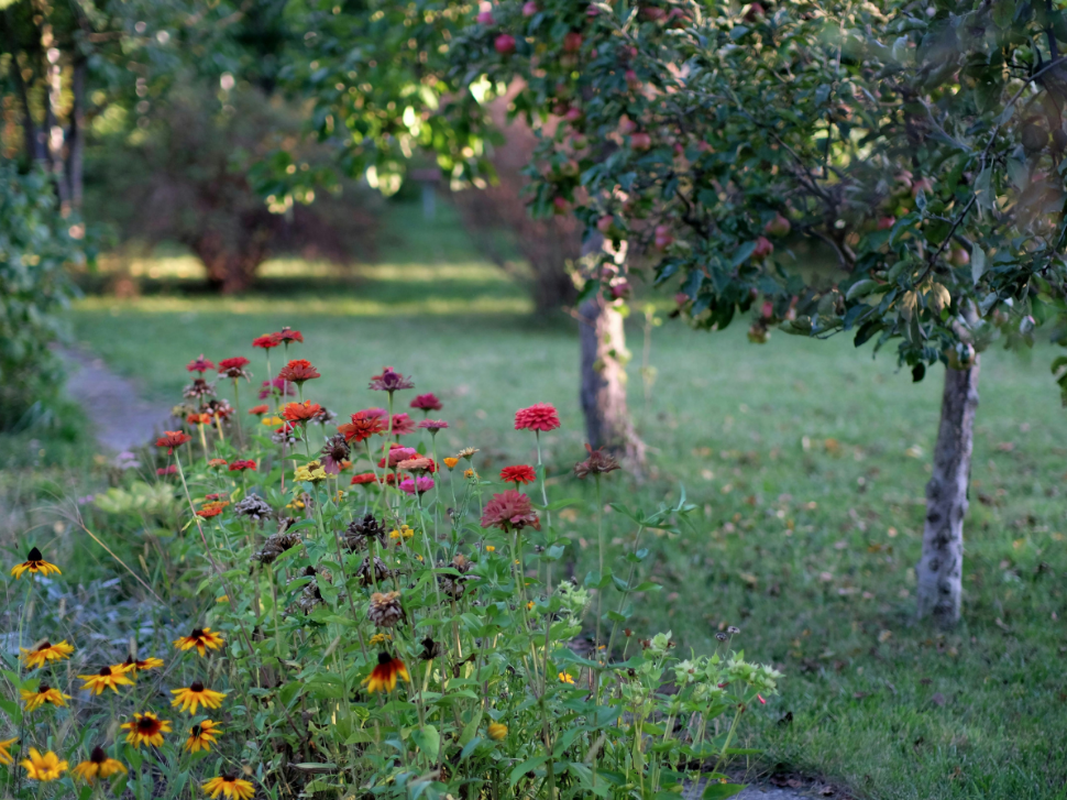 Where Ticks Hide in Your Yard in Two Rivers & How to Treat Them