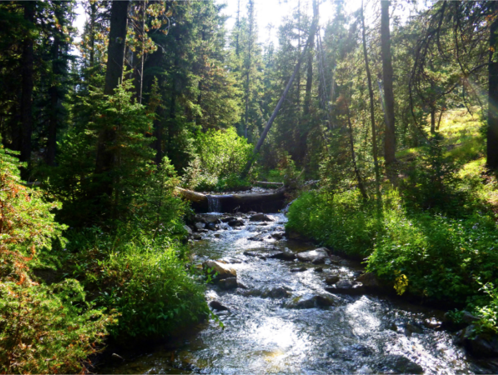 What Makes Littleton's Landscape More Attractive to Mosquitoes than Other Denver Suburbs?