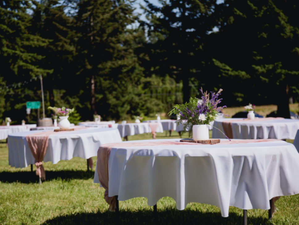 How to Host a Backyard Event with Fewer Bugs in West Bloomfield