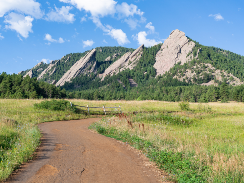 Can Mosquitoes Survive Colorado's Elevation and Climate?