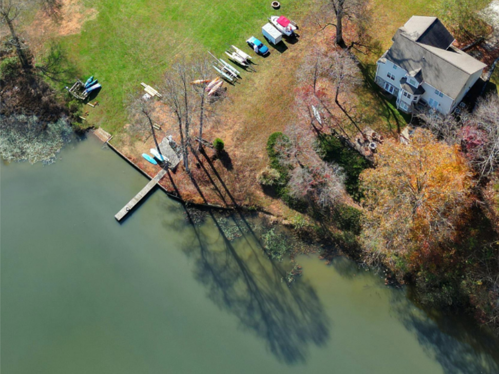 Why Insects Thrive Near Lakeside Properties