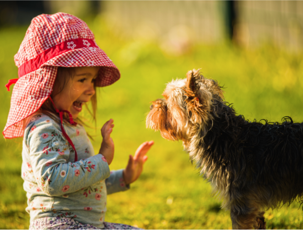 How to Help Protect Children and Pets from Ticks and Mosquitoes All Season