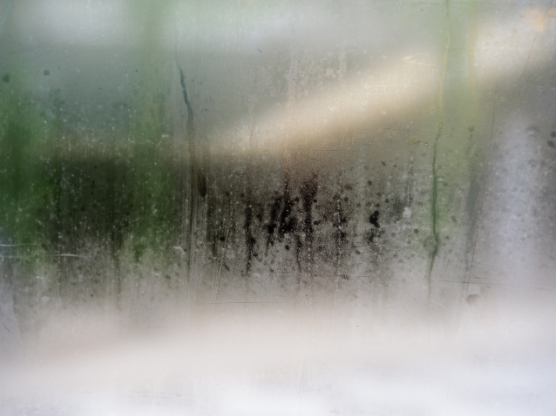The Connection Between Humidity and Mosquito Activity