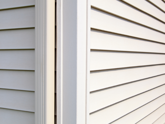 The Most Overlooked Pest Entry Points Around the Home