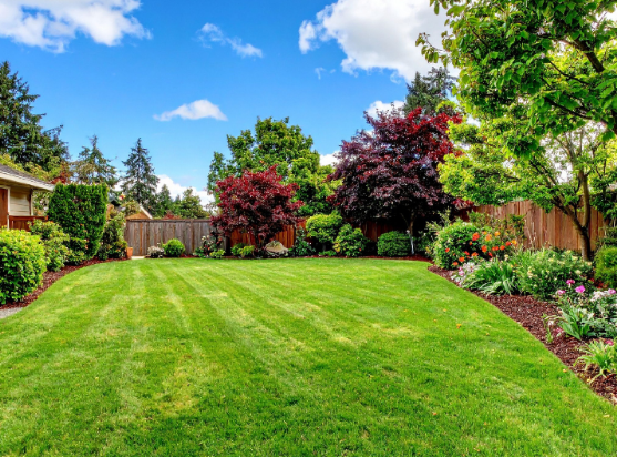 The Biggest Backyard Mosquito Mistakes Verona Homeowners Make