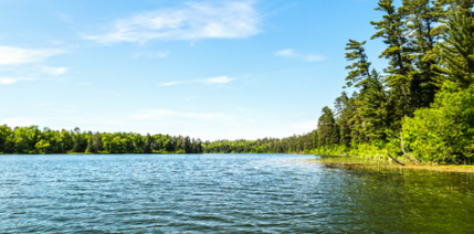 Why Mosquitoes Thrive Near Lakes and Wetlands Around Superior