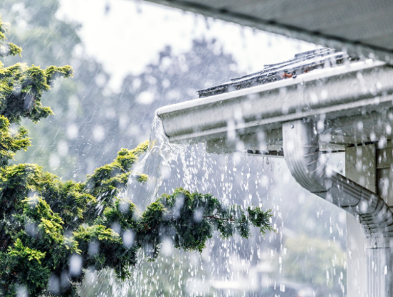 How Early Summer Rain Triggers Mosquitoes in St. Pauls