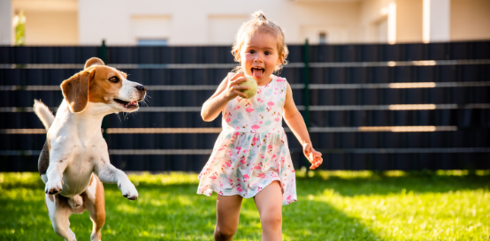 Helping Protect Your Kids and Pets from Ticks in Worthington, OH