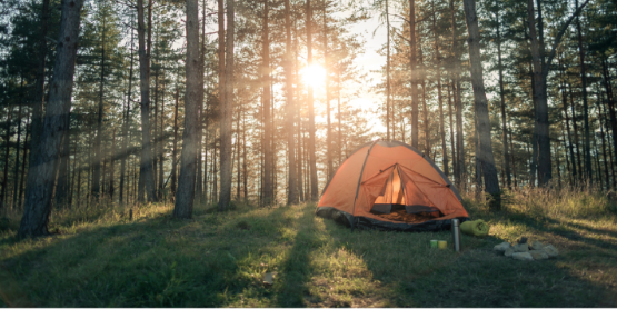 Why Minnesota Campers and Lake Visitors Should Be Concerned About Ticks Now More Than Ever