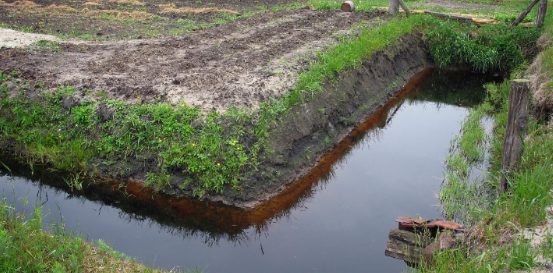 How Farm Field Drainage Issues Are Fueling Mosquito Breeding
