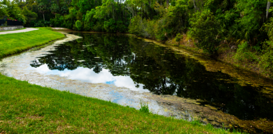 >Menomonee Falls Drainage Ditches and Retention Ponds Acting as Mosquito Incubators