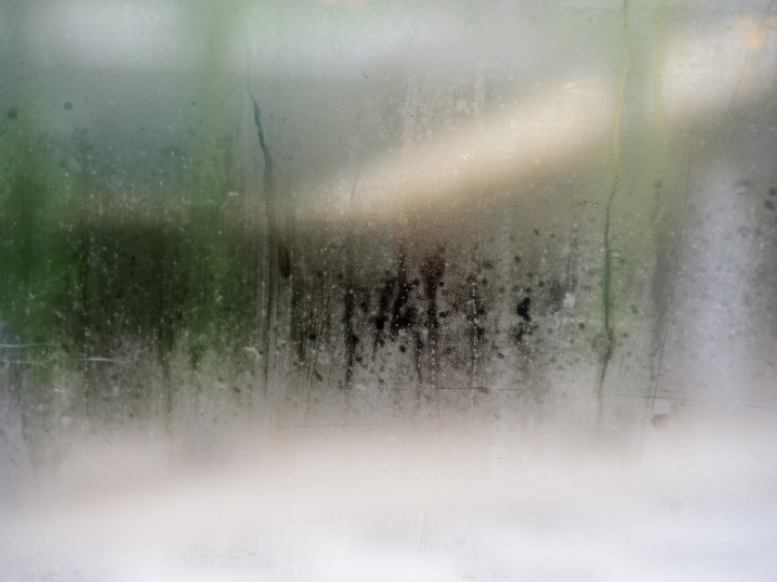 How Humid Summers in Woodmere Increase Mosquito Activity