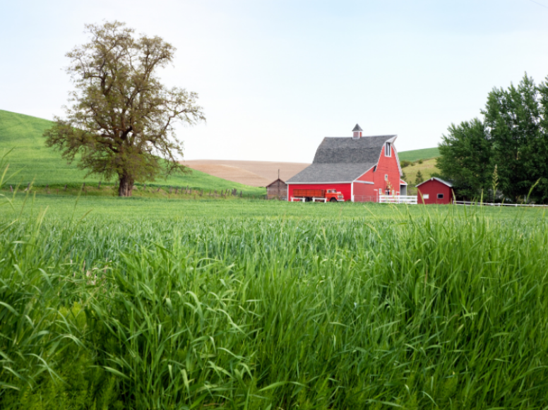 How Do Farmland and Woodland Affect Pest Pressure in Campbellsport?