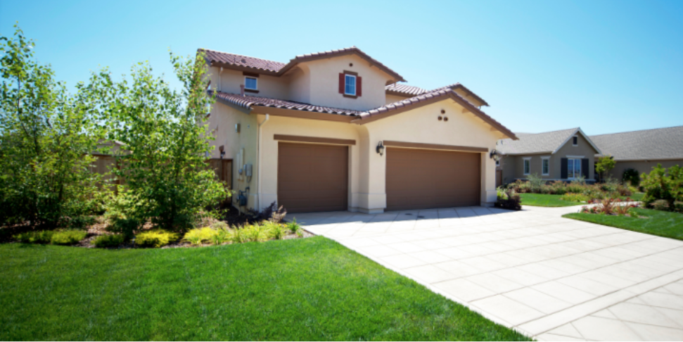 Costly Damage Done by Pests to Your Yorba Linda Home