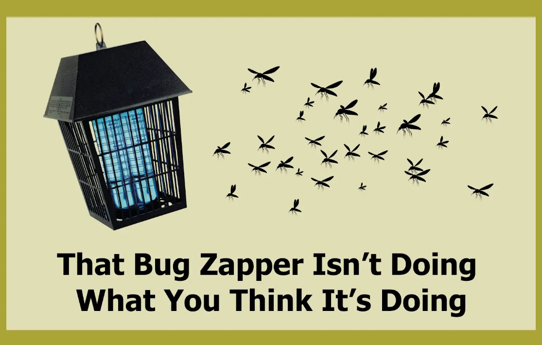 That Bug Zapper Isn't Doing What You Think It's Doing