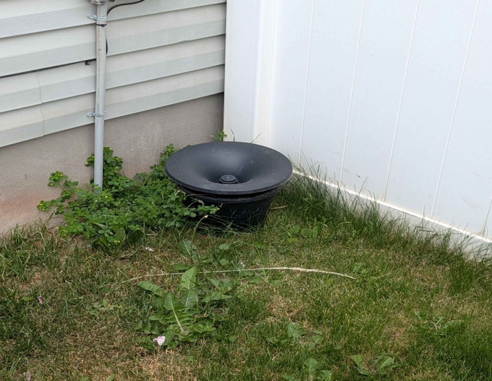 Mosquito Traps, Buckets, or Professional Treatment: What Actually Helps in Utah?