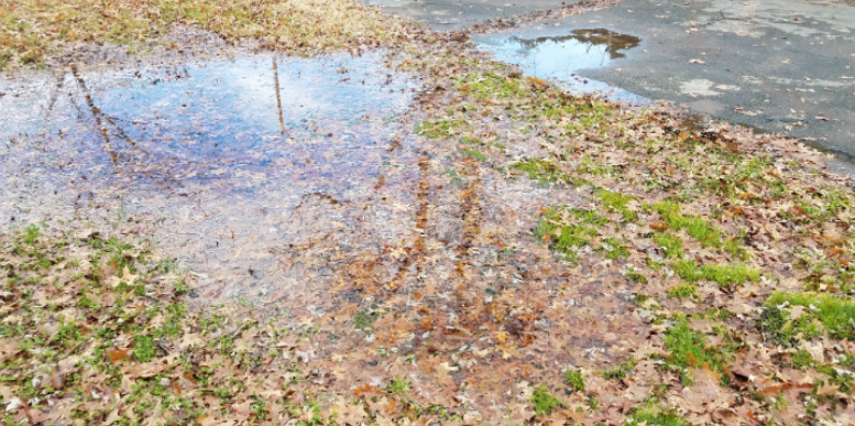 Flooding and the Resulting Waterford Mosquito Surges