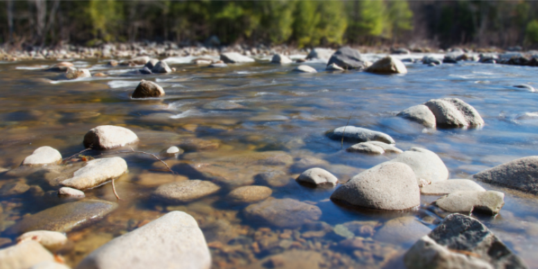 How Being Near Water Impacts Mosquito Pressure in Gibbstown