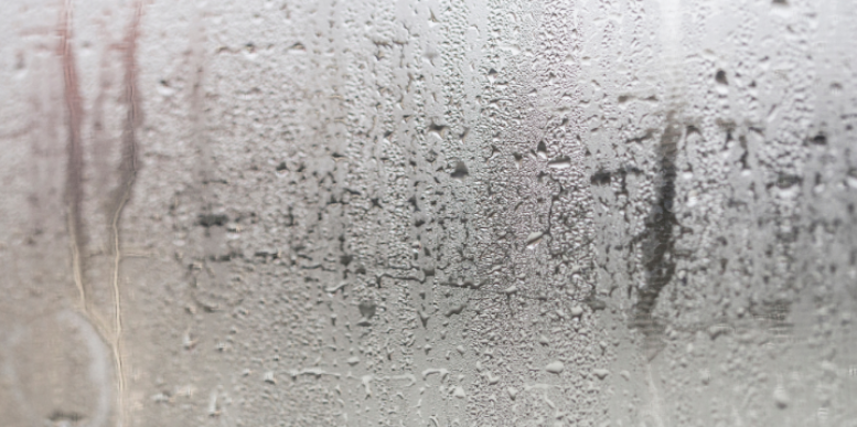 How Does Greer's Humidity Create the Perfect Conditions for Mosquitoes?