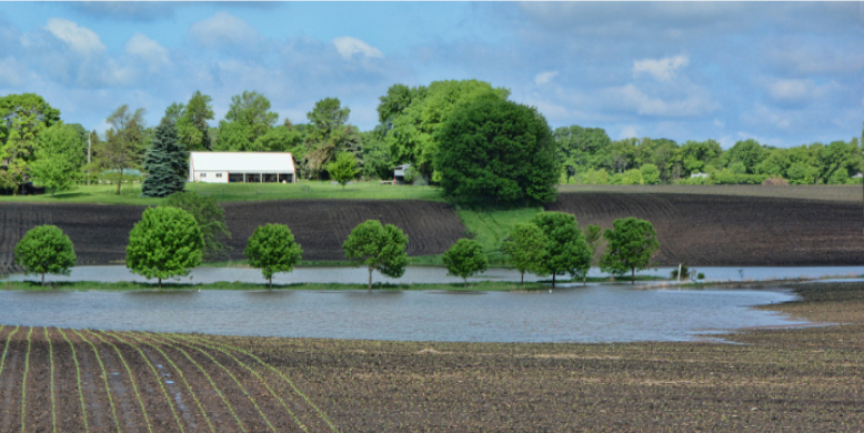 How Agricultural Runoff and Standing Water Spur Franksville Mosquito Activity