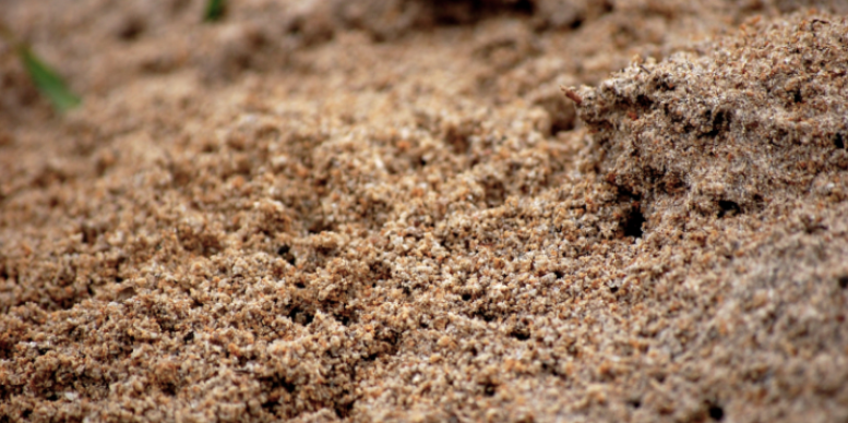 How Moisture and Sandy Soil Affect Pest Activity in Eau Claire