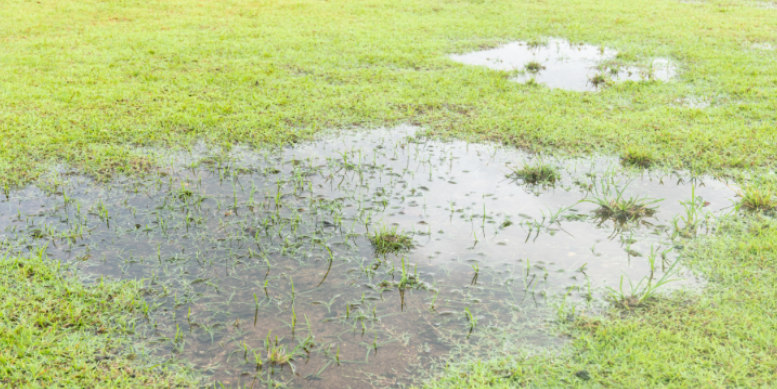 Agriculture Drainage Issues and Standing Water Impact on Mosquitoes