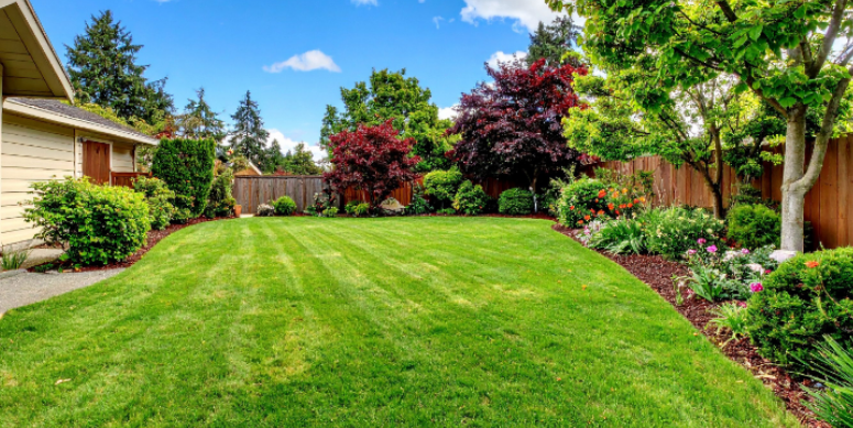 Managing Pests on Your Property