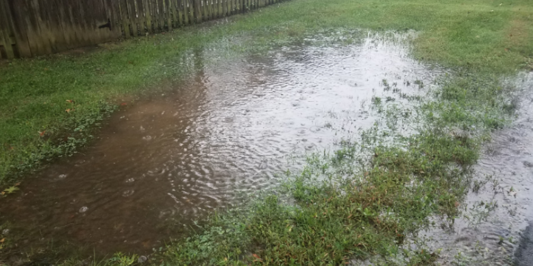 Why Poor Drainage Creates Mosquito Problems
