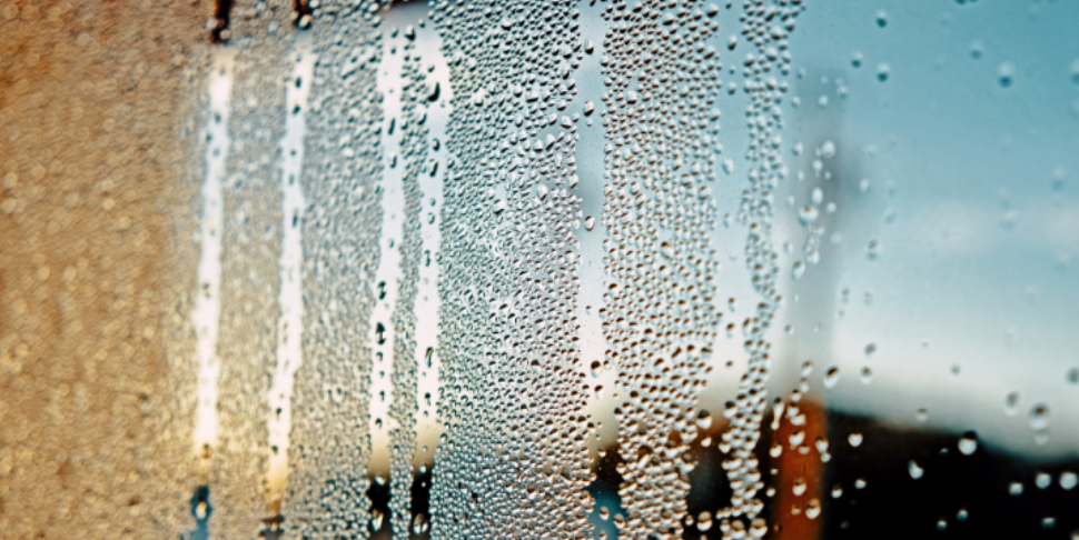 How Does Humidity Create Mosquito Problems?