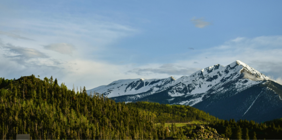 How Elevation Changes Mosquito Problems in Dacono, CO