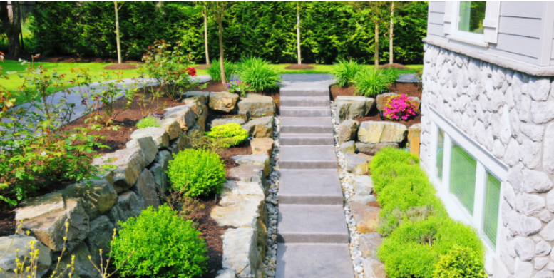 How Your Landscaping Choices May Be Attracting Ticks to Your Yard