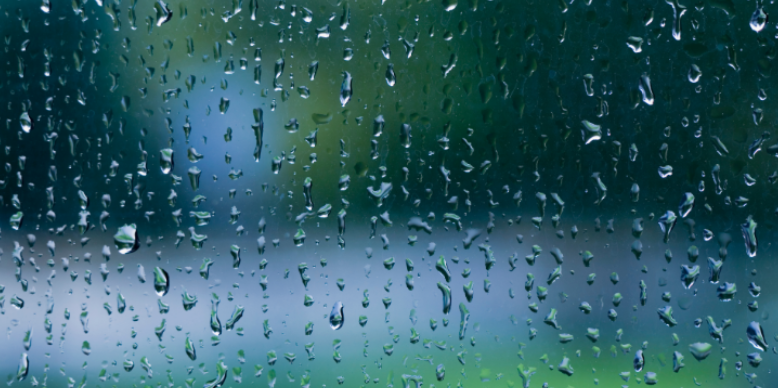 How Rain Affects Mosquito Pressure and Treatment