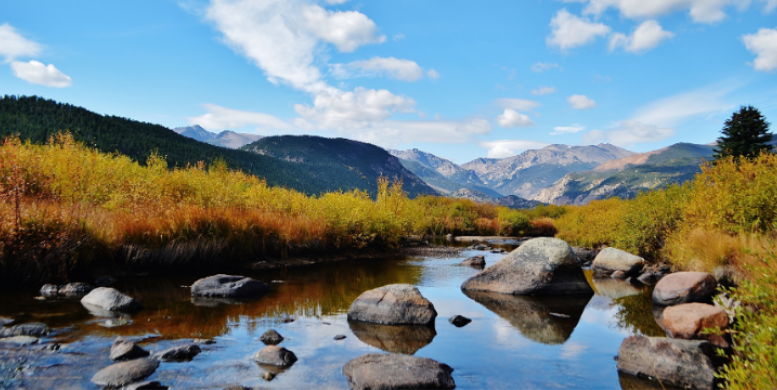 High Altitude Pest Control Challenges in Littleton