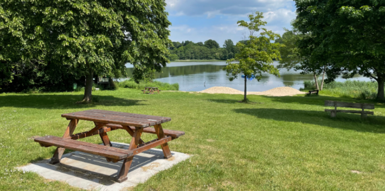 Wasp Control in Meredith, NH: Why Outdoor Dining on the Lake Attracts More Wasps