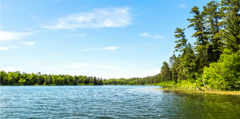 How Wetlands and Lakes Multiply Mosquitoes in Barrington