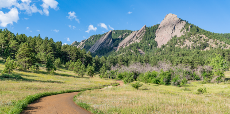 How Altitude Affects Mosquito Season Length