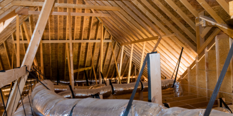 Why Old Insulation and Attic Spaces Attract Nesting Rodents in Northampton