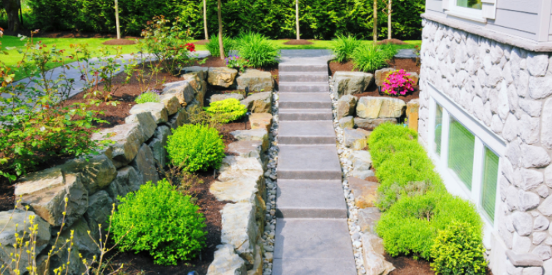 How Your Landscaping Affects Pest Populations