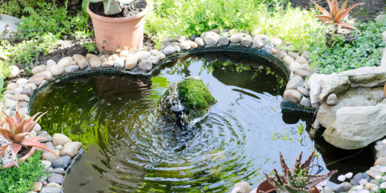 Tips to Prevent Mosquito Breeding in Decorative Ponds
